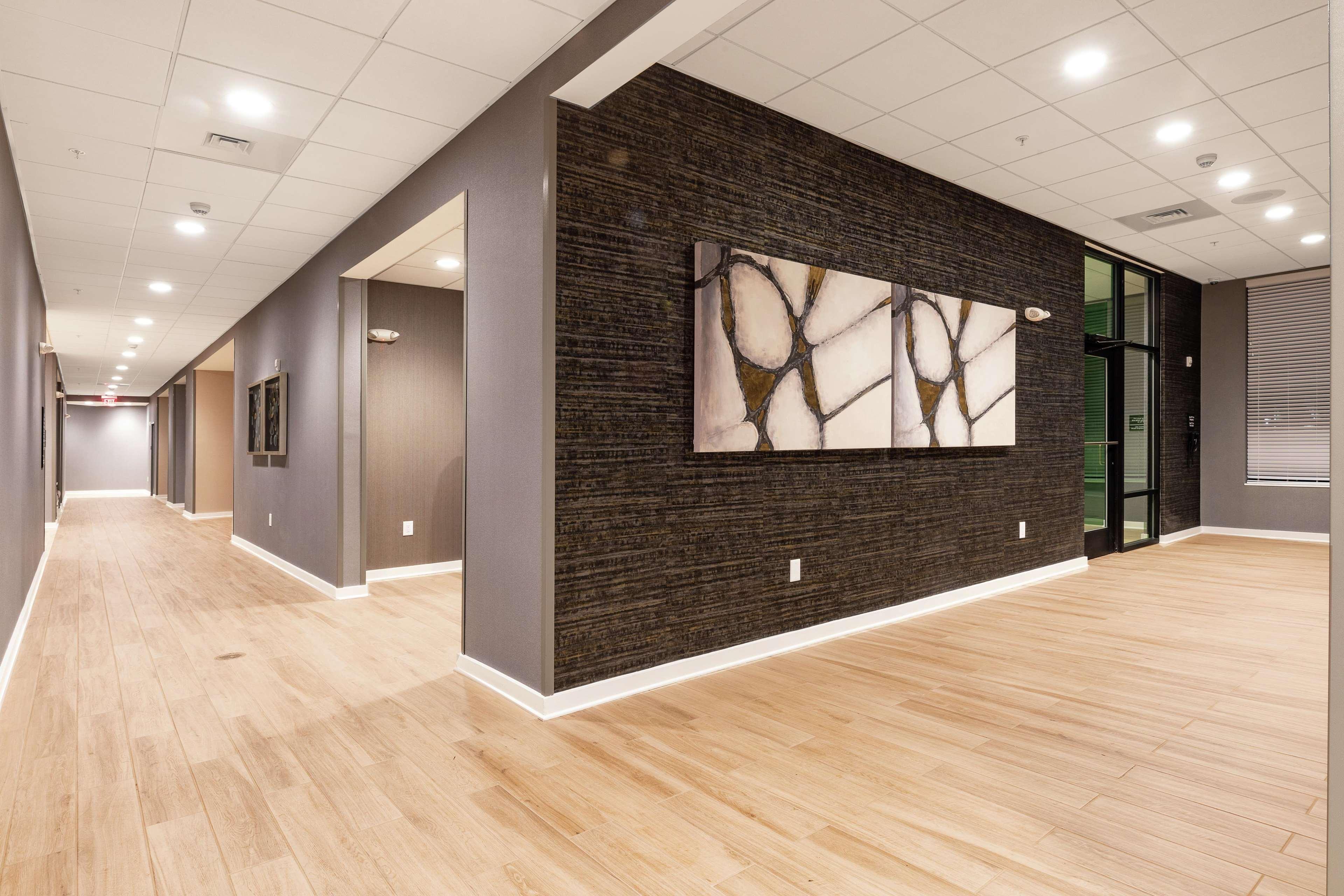 Hampton Inn & Suites By Hilton-Columbia Killian Road Kültér fotó