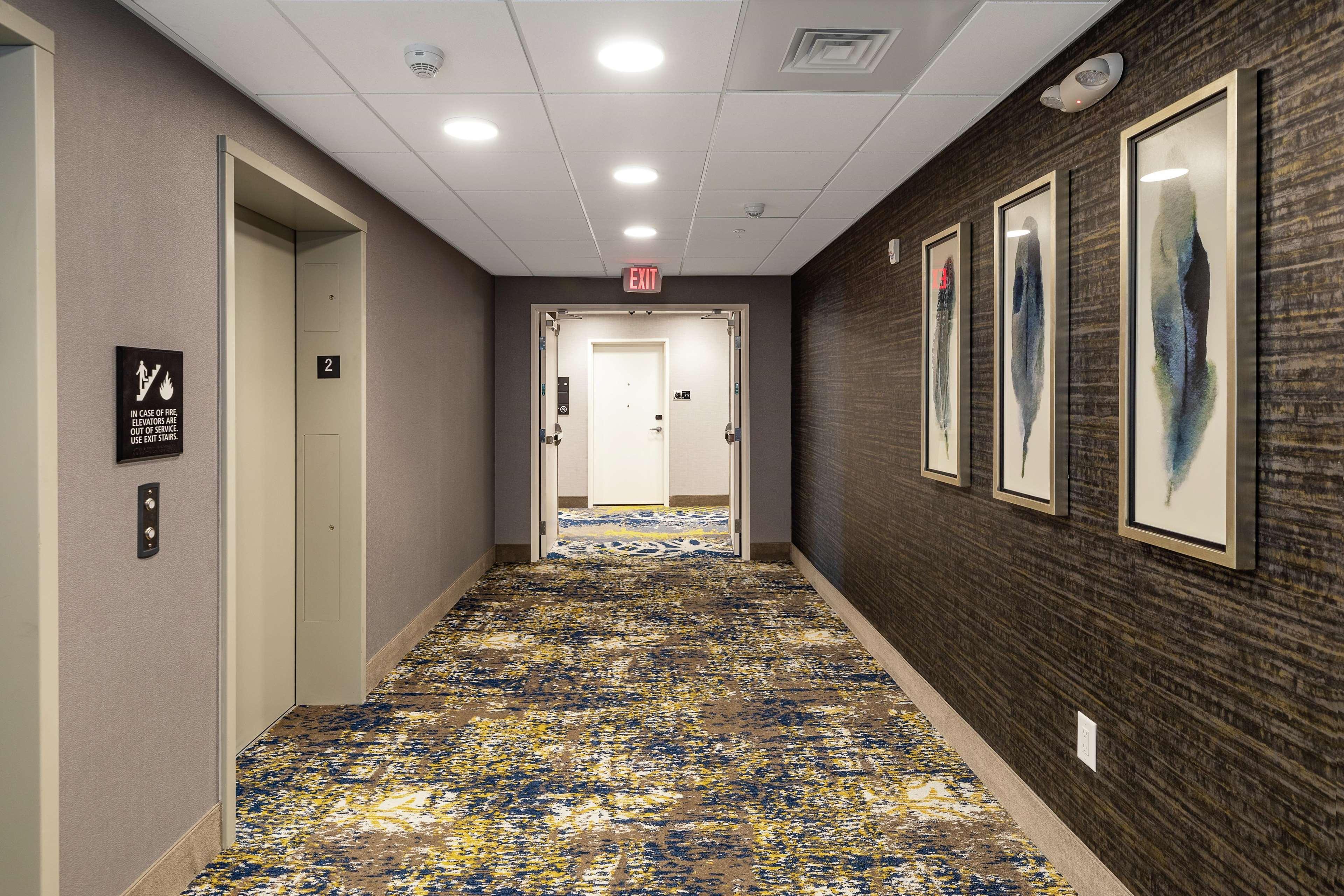 Hampton Inn & Suites By Hilton-Columbia Killian Road Kültér fotó